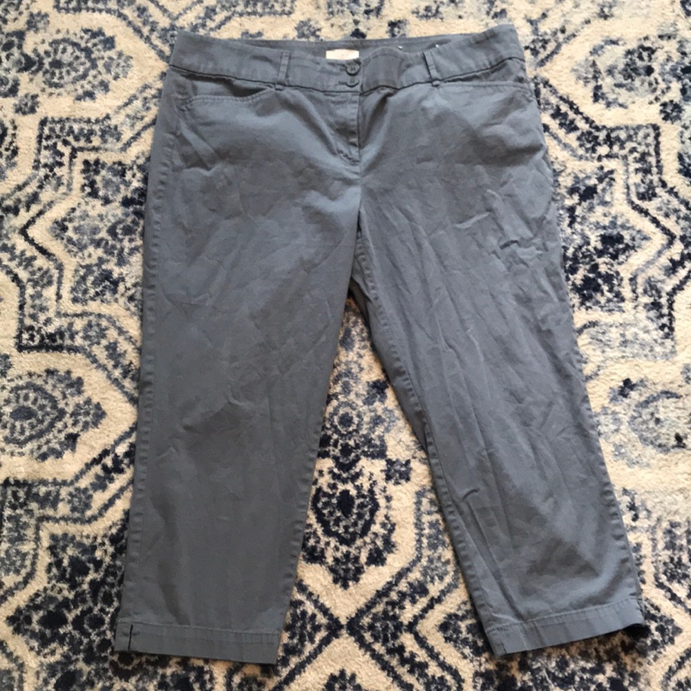 Loft Outlet Capris